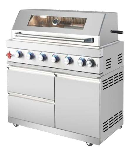 Barbecue a gas da 110