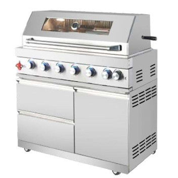 Barbecue a gas da 110