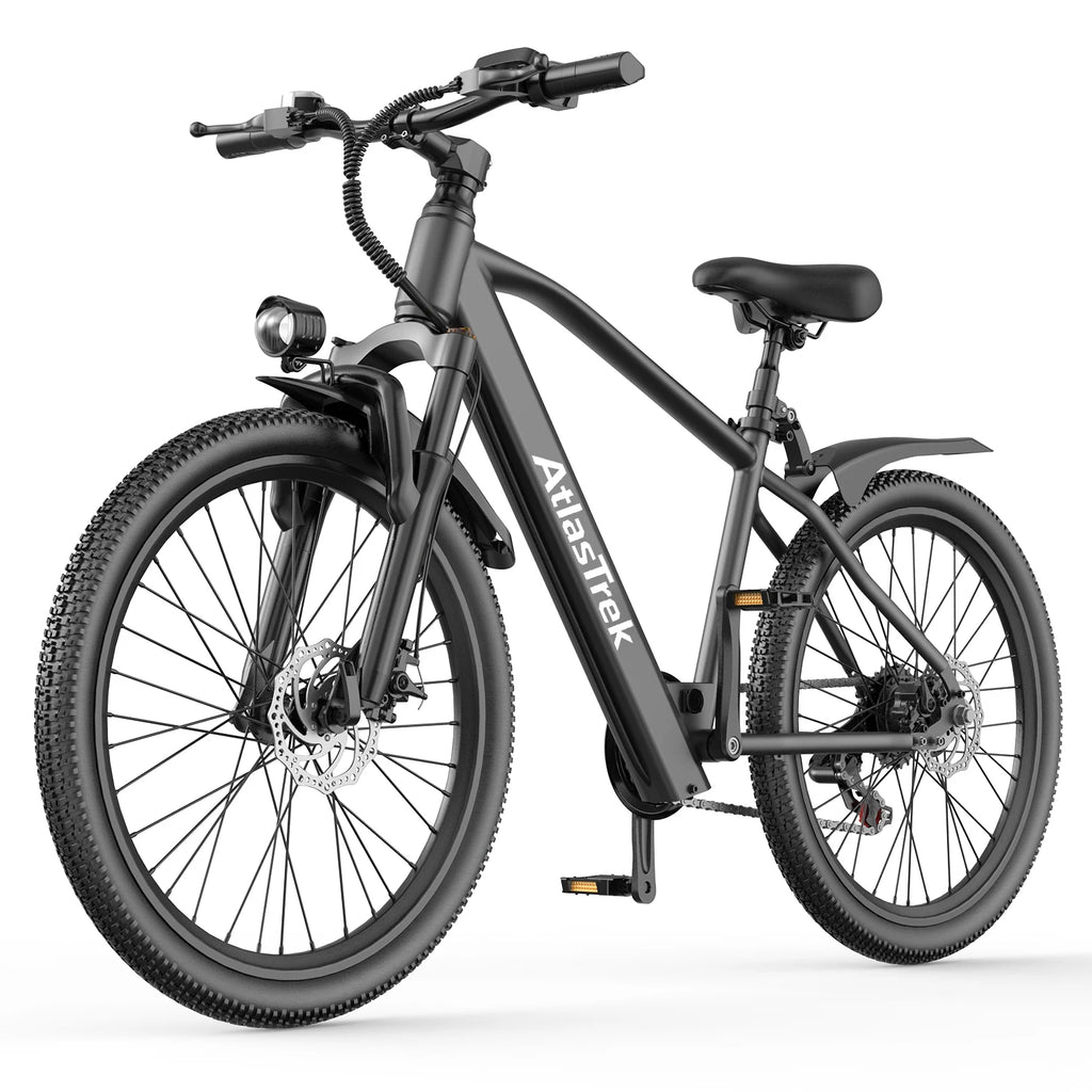 Bici elettrica GT300 da 250 W, batteria da 36 V e 10 Ah