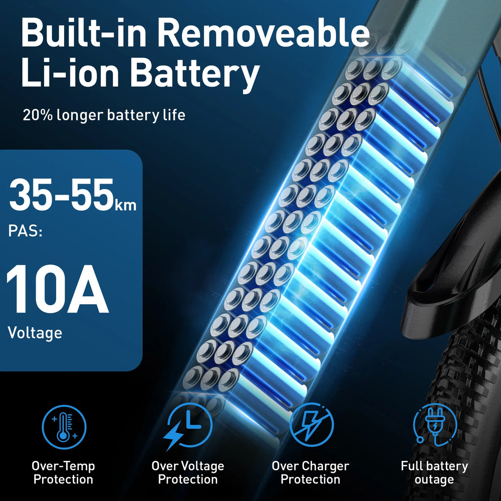 Bici elettrica GT300 da 250 W, batteria da 36 V e 10 Ah